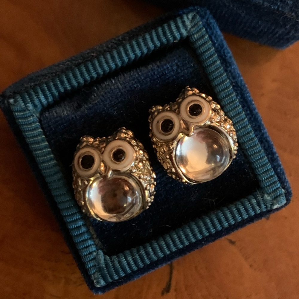 Cute Owl Earrings ☺️